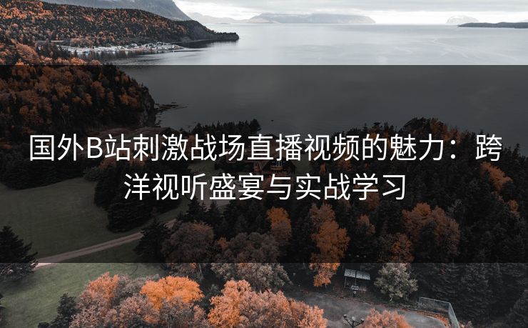 国外B站刺激战场直播视频的魅力：跨洋视听盛宴与实战学习