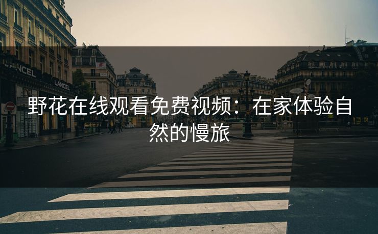 野花在线观看免费视频：在家体验自然的慢旅