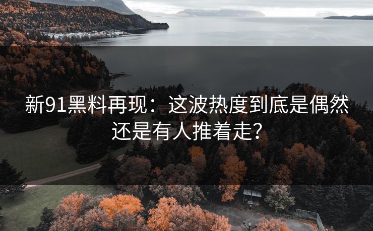 新91黑料再现：这波热度到底是偶然还是有人推着走？